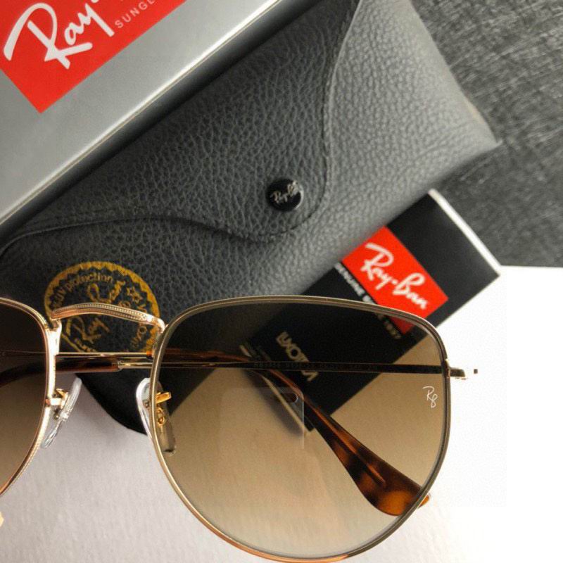 Rayban Glasses (471)